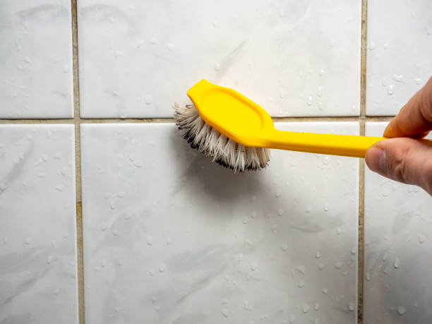 Best Industrial Mold Remediation in Forest Park, GA