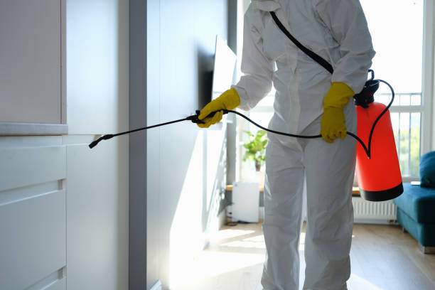 Best Insurance-Related Mold Remediation in Forest Park, GA