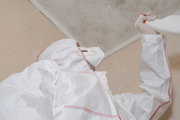 Best Attic Mold Remediation in Forest Park, GA